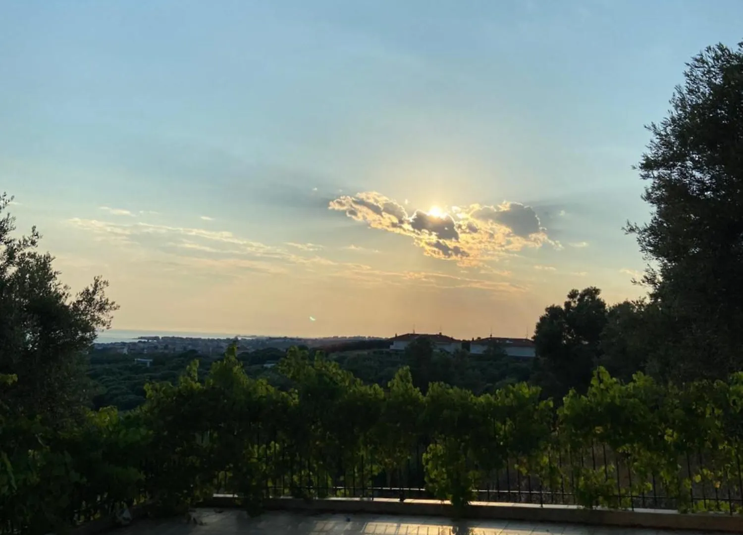 Olive&View Apartment Nea Moudania